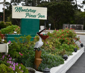 Monterey Pines Inn